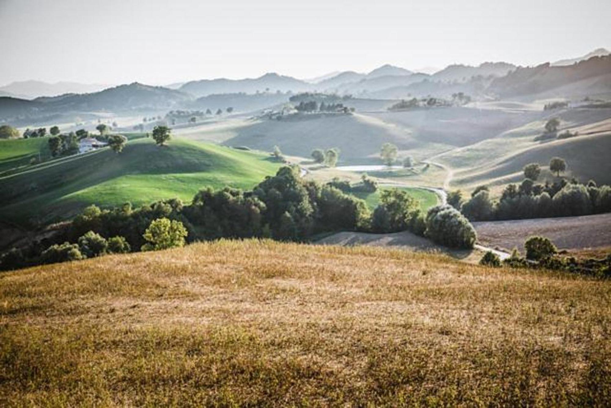 Ca' Gulino - Urbino - Villa Con Minipiscina In Borgo Antico Ngoại thất bức ảnh