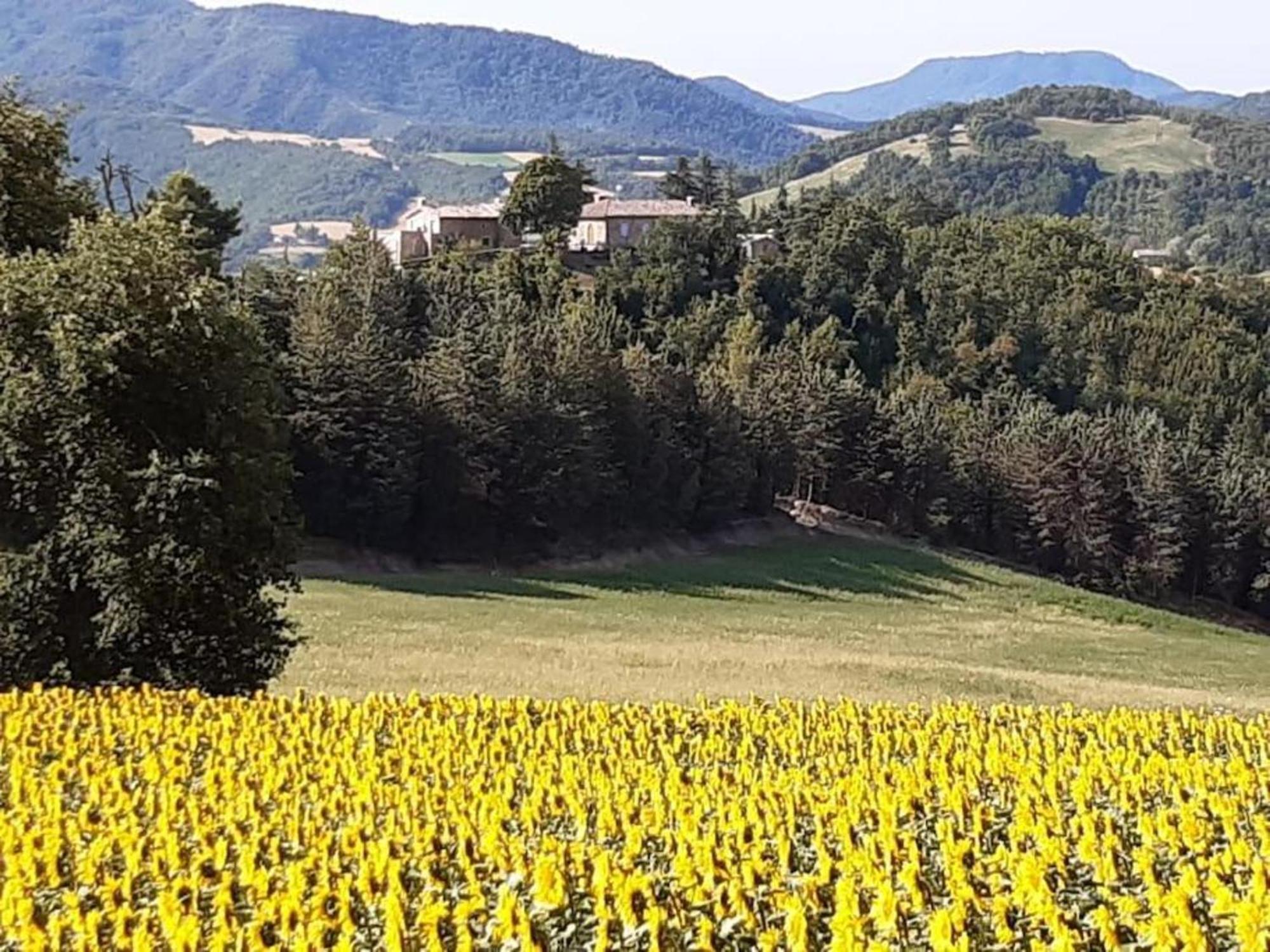 Ca' Gulino - Urbino - Villa Con Minipiscina In Borgo Antico Ngoại thất bức ảnh